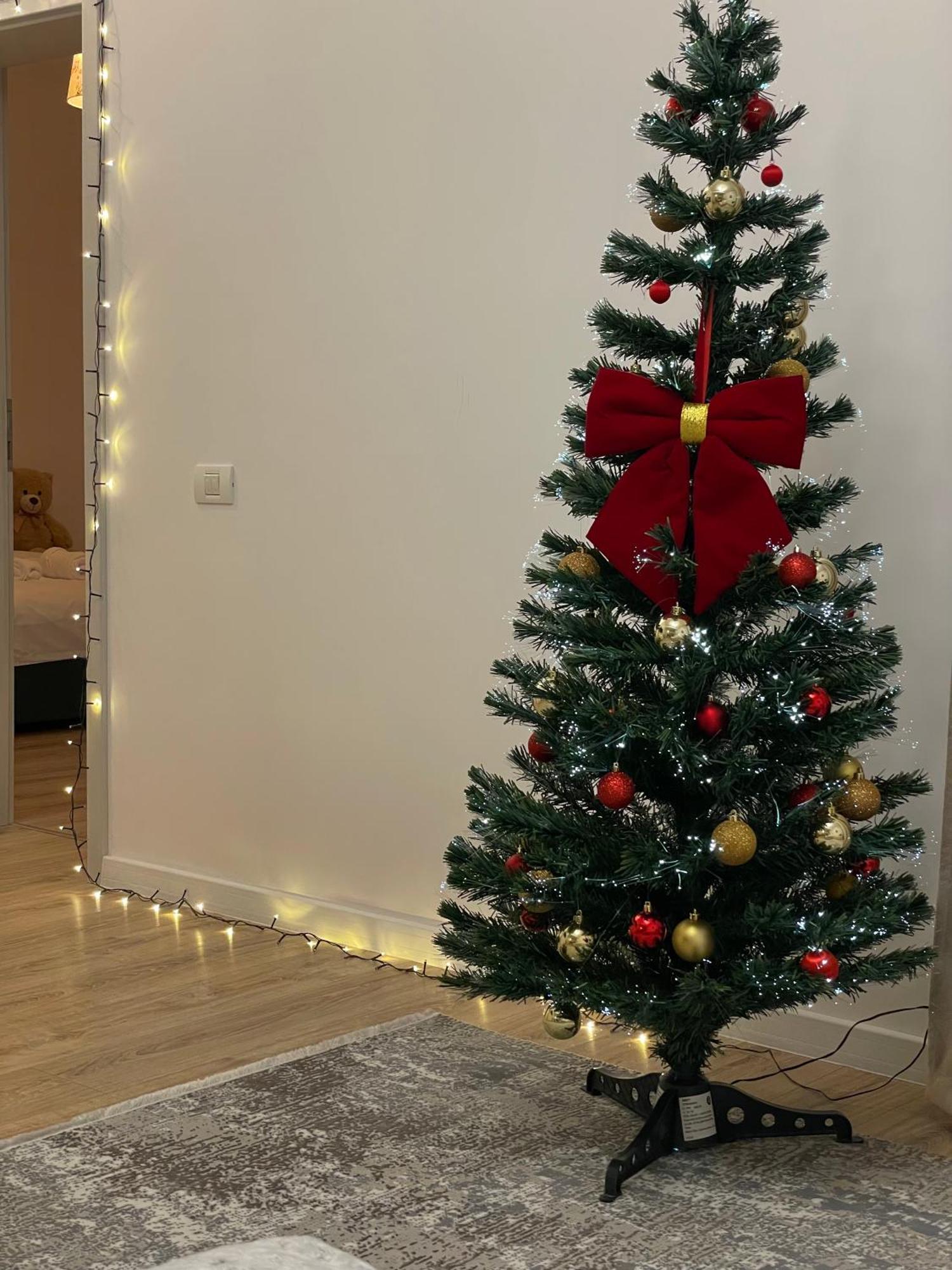 Negruzzi Apartment Dumbravita  Экстерьер фото